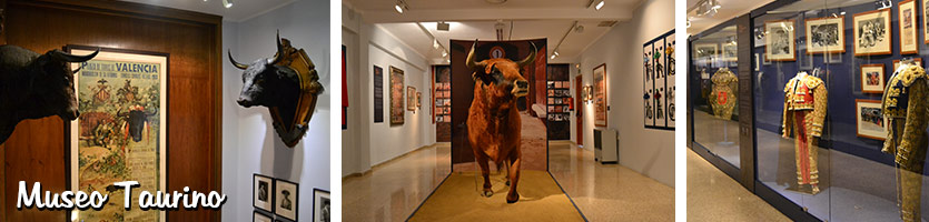 Museo-Taurino