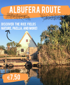 Albufera Valencia route rice fields